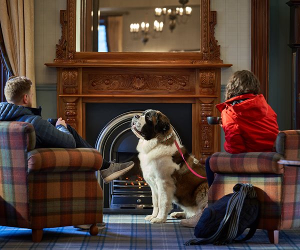 Dog & Owners in Lounge at Oban Bay Hotel