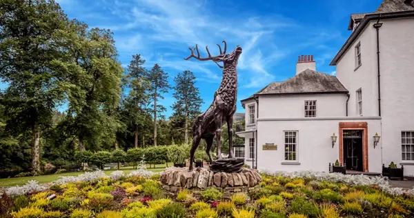 Crerar Group | Dunkeld House Hotel Stag 2