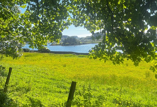 Dunollie Castle Walk View