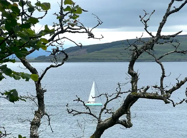 Crerar Group | View Over Tobermory Bay