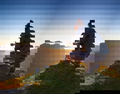 Daffodil | Best Beginner Walks in the Lake District ?? Daffodil