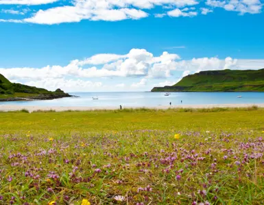 Crerar Group | Beaches to Visit on The Isle of Mull ?? Crerar Group