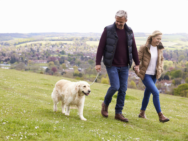 Daffodil | dog friendly staycation destinations uk ?? Daffodil