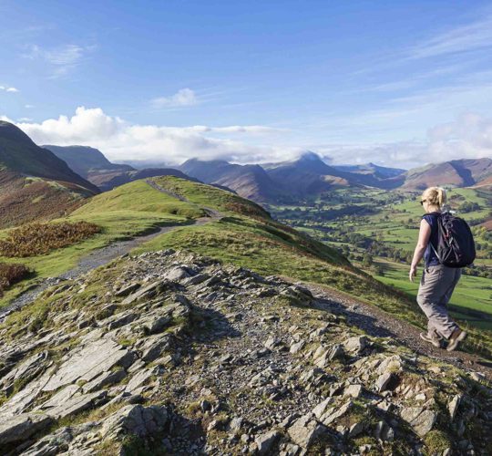 Daffodil | High-Difficulty Hikes in the Lake District ?? Daffodil