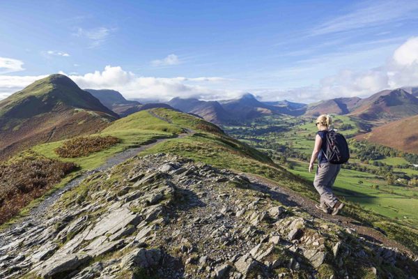 Daffodil | High-Difficulty Hikes in the Lake District ?? Daffodil