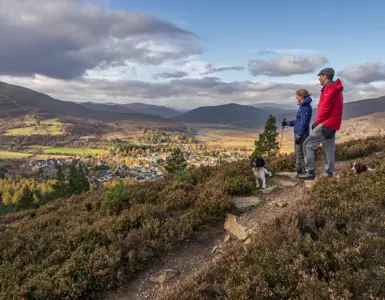 Crerar Group | Things To Do In The Cairngorms ?? Crerar Group