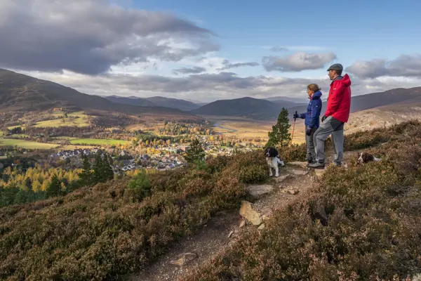 Crerar Group | Things To Do In The Cairngorms ?? Crerar Group