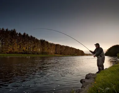 Crerar Group | Fishing In Aberdeen ?? Crerar Group