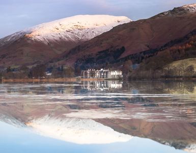 Daffodil | Ultimate Guide to Mountains in the Lake District hero ?? Daffodil