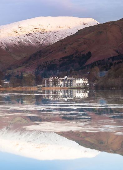 Daffodil | Ultimate Guide to Mountains in the Lake District hero ?? Daffodil