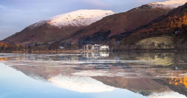 Daffodil | Ultimate Guide to Mountains in the Lake District hero ?? Daffodil