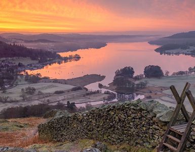 Daffodil | Sunset Views in The Lake District ?? Daffodil