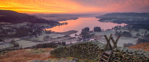 Daffodil | Sunset Views in The Lake District ?? Daffodil