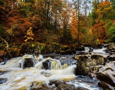 Dunkeld | The Corbenic Poetry Path ?? Dunkeld