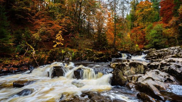 Dunkeld | The Corbenic Poetry Path ?? Dunkeld