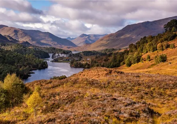 Crerar Group | Glen Affric Trail