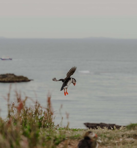 Isle of Mull | Isle Of Mull Hotel And Spa Location00010