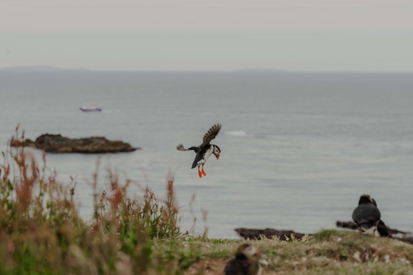 Isle of Mull | Isle Of Mull Hotel And Spa Location00010