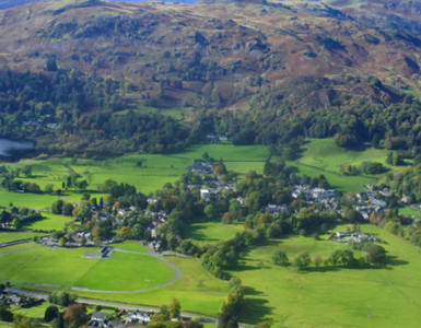 Daffodil | Day Trips & Things To Do Near Grasmere ?? Daffodil