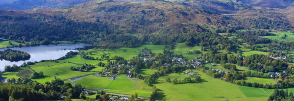 Daffodil | Day Trips & Things To Do Near Grasmere ?? Daffodil