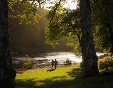 Dunkeld | perthshire big trees ?? Dunkeld