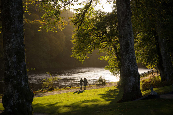 Dunkeld | perthshire big trees ?? Dunkeld