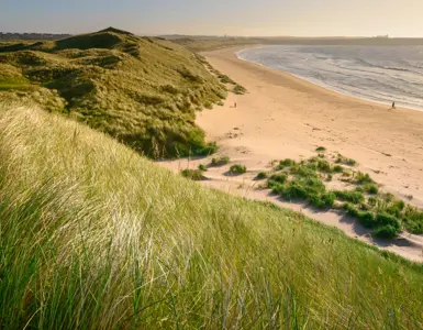 Crerar Group | Best Beaches To Visit In Aberdeenshire ?? Crerar Group