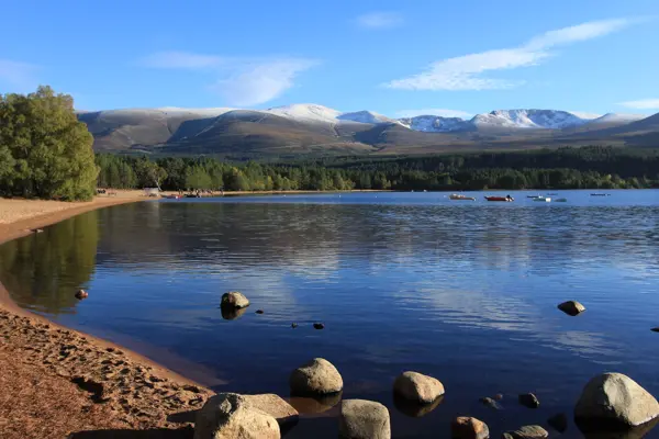 Crerar Group | Loch Morlich Old Logging Way Loop