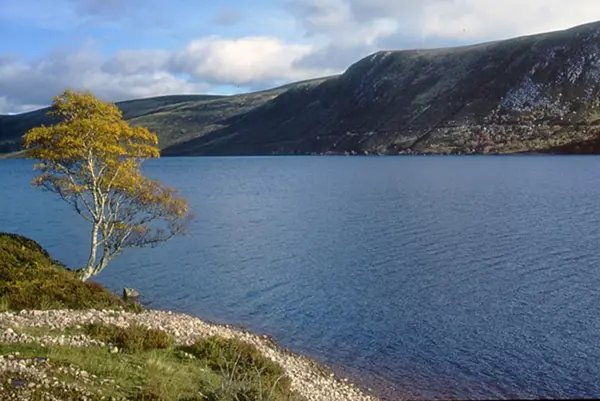 Crerar Group | Loch Muick Geograph Org Uk 927593