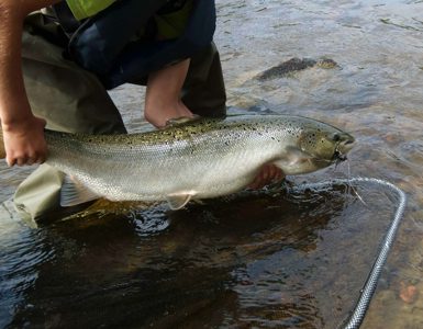 Fonab Castle | salmon fishing perthshire ?? Fonab Castle