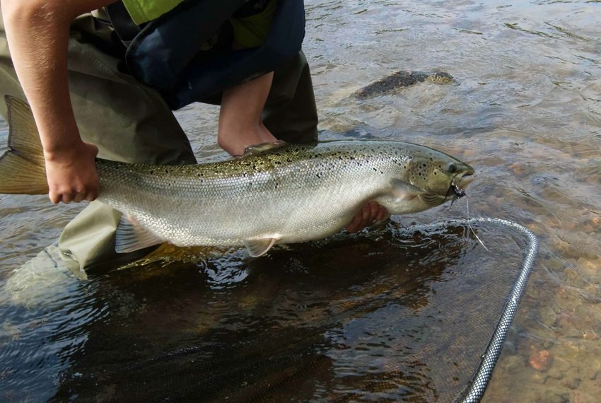 Fonab Castle | salmon fishing perthshire ?? Fonab Castle